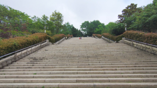 Thumbnail of post image 130